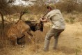 /album/senegal-/p17d3uo9o91sgjpv71k8hq7t1gdq9-jpg/