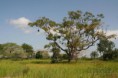 /album/senegal-/priroda-den-afrika-jpg/